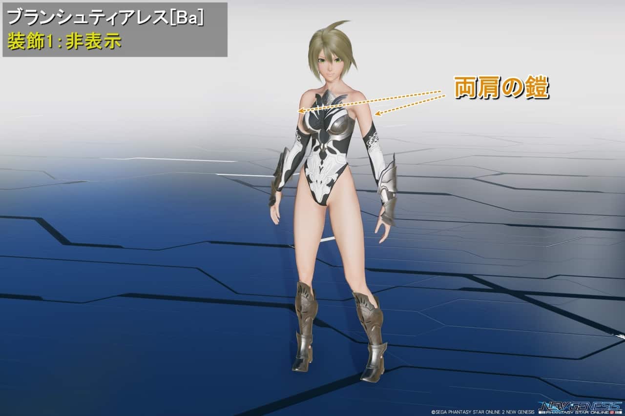 ブランシュティアレスBaの装飾1：非表示