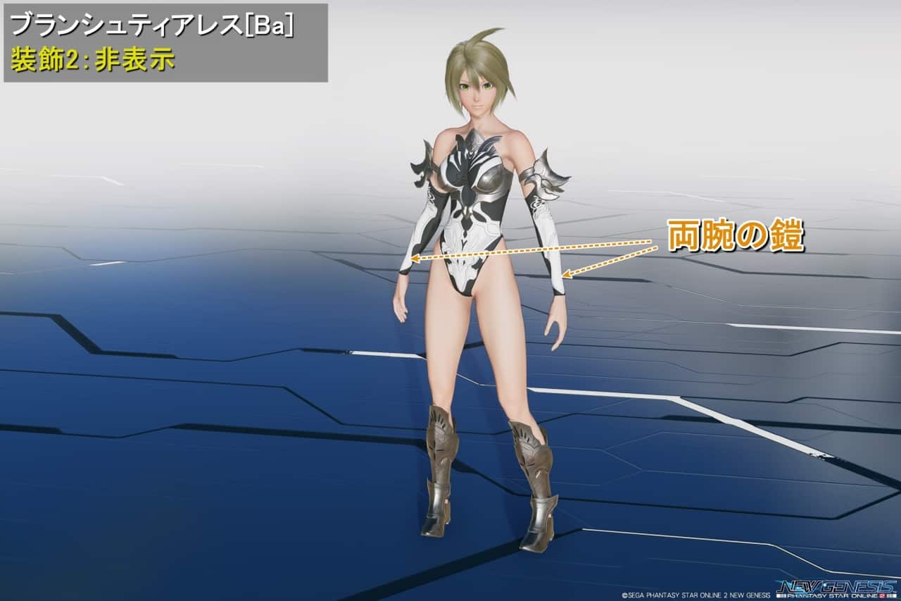 ブランシュティアレスBaの装飾2：非表示