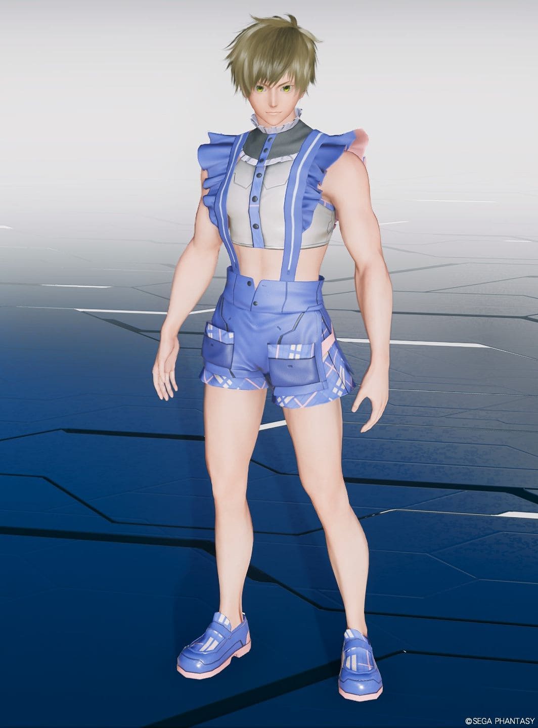 【PSO2NGS】ポポロンパルメンT1V2[Ba]のカラー・装飾の詳細 ロボアークスのPSO2NGS攻略情報まとめ