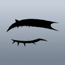 メジリノハバヒロまつげ