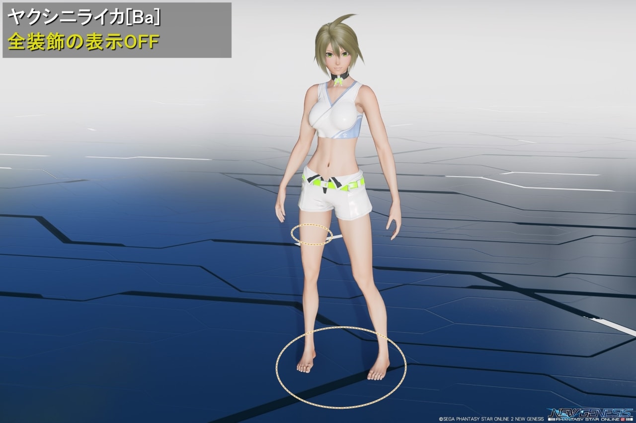 ヤクシニライカBaの全装飾の非表示