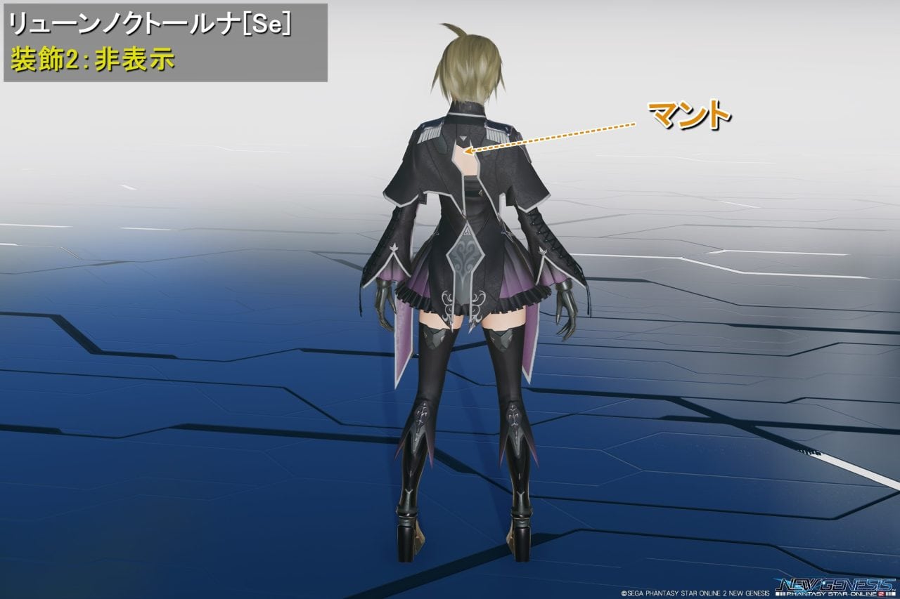 リューンノクトールナSeの装飾2：非表示