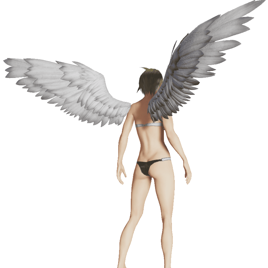 ルミティアWMの翼