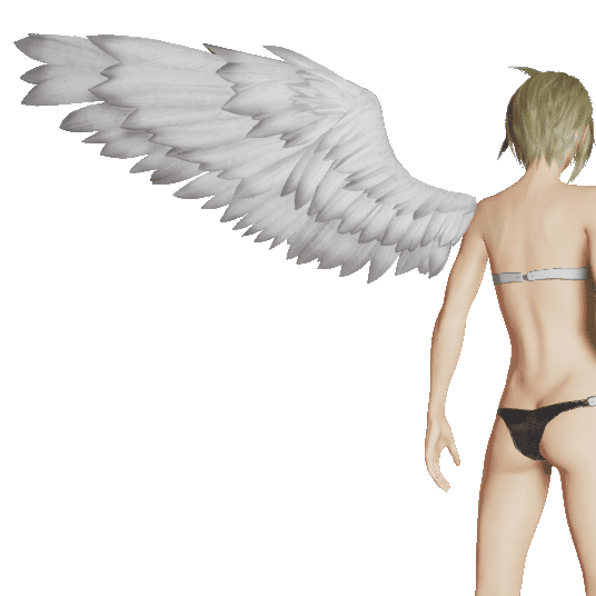 ルミティアWMの翼L