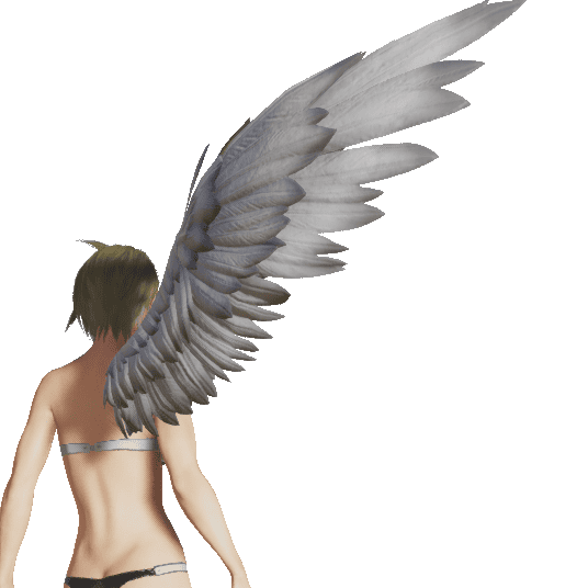 ルミティアWMの翼R