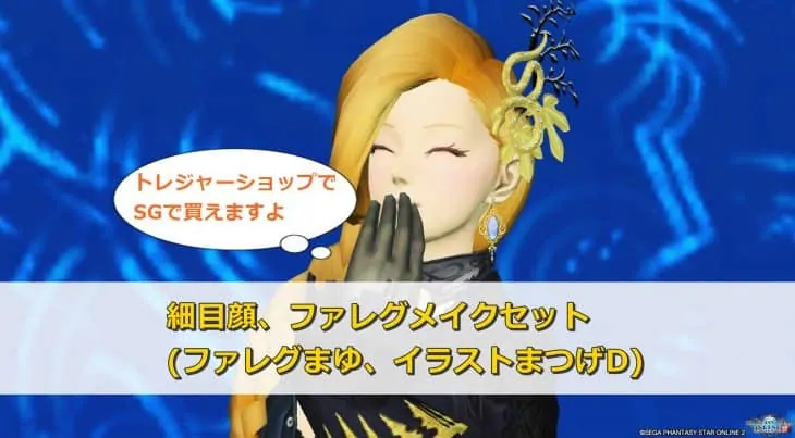 細目顔とファレグメイクセット(イラストまつげD)がSGで買える
